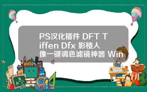 PS汉化插件 DFT Tiffen Dfx 影楼人像一键调色滤镜神器 WinMac