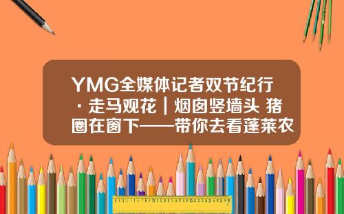 YMG全媒体记者双节纪行·走马观花｜烟囱竖墙头 猪圈在窗下——带你去看蓬莱农村原汁原味百年老宅