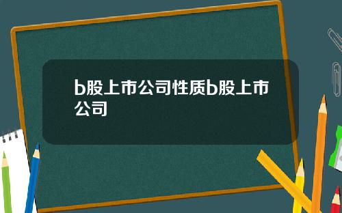 b股上市公司性质b股上市公司