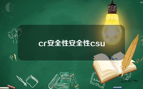 cr安全性安全性csu