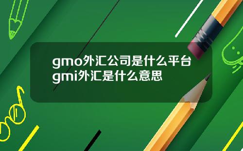 gmo外汇公司是什么平台gmi外汇是什么意思