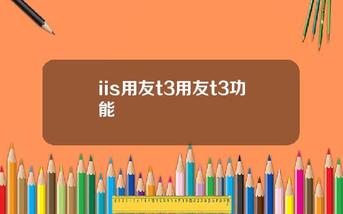 iis用友t3用友t3功能