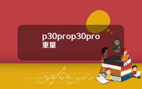 p30prop30pro重量
