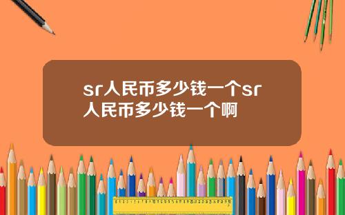 sr人民币多少钱一个sr人民币多少钱一个啊