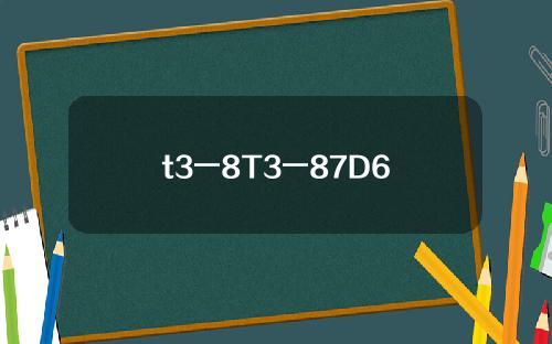 t3一8T3一87D6