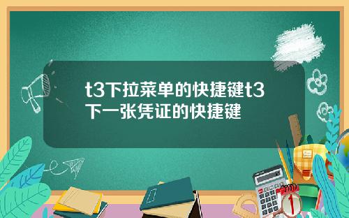 t3下拉菜单的快捷键t3下一张凭证的快捷键