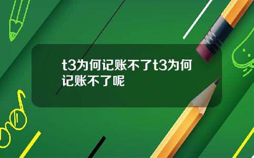 t3为何记账不了t3为何记账不了呢
