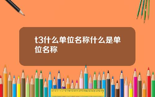 t3什么单位名称什么是单位名称