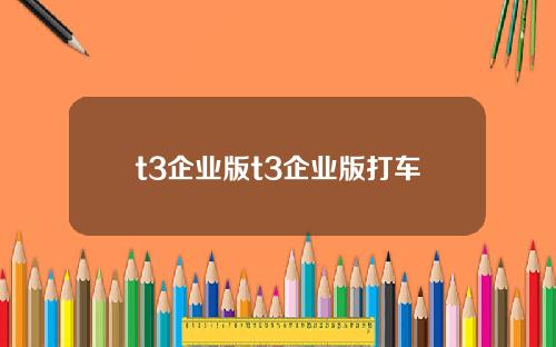t3企业版t3企业版打车