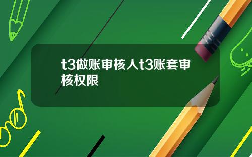 t3做账审核人t3账套审核权限