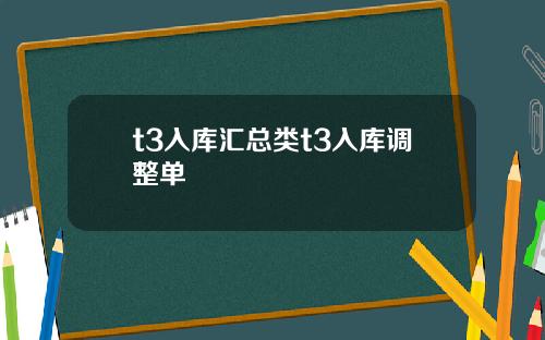 t3入库汇总类t3入库调整单