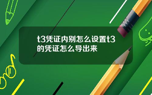 t3凭证内别怎么设置t3的凭证怎么导出来