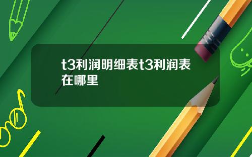 t3利润明细表t3利润表在哪里