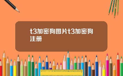 t3加密狗图片t3加密狗注册