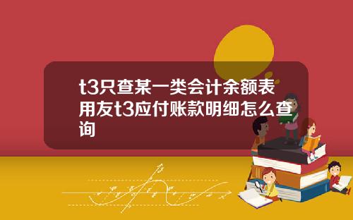 t3只查某一类会计余额表用友t3应付账款明细怎么查询