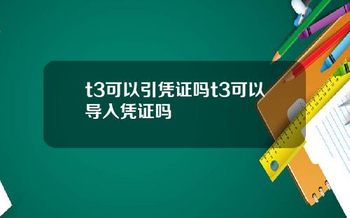 t3可以引凭证吗t3可以导入凭证吗