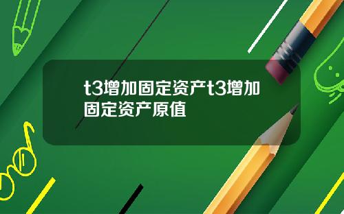 t3增加固定资产t3增加固定资产原值
