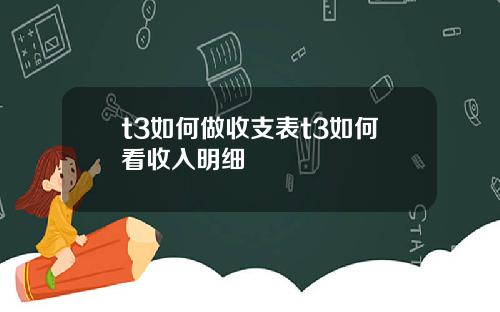 t3如何做收支表t3如何看收入明细
