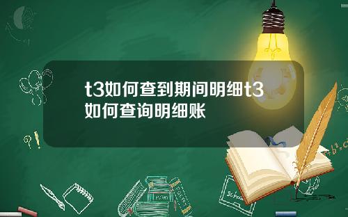 t3如何查到期间明细t3如何查询明细账