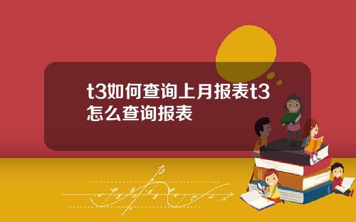 t3如何查询上月报表t3怎么查询报表