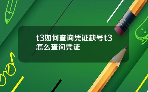 t3如何查询凭证缺号t3怎么查询凭证