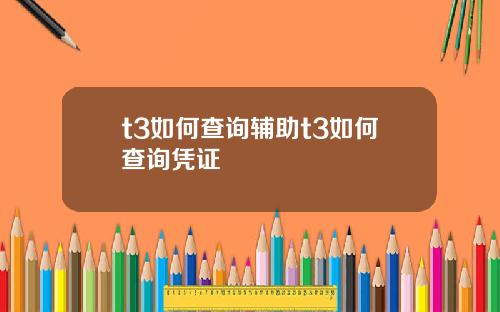 t3如何查询辅助t3如何查询凭证