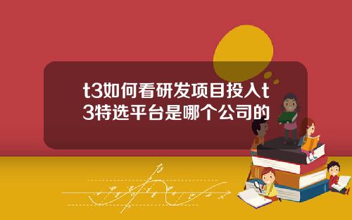 t3如何看研发项目投入t3特选平台是哪个公司的