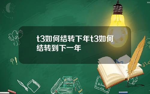 t3如何结转下年t3如何结转到下一年
