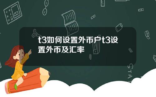 t3如何设置外币户t3设置外币及汇率