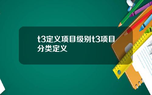 t3定义项目级别t3项目分类定义