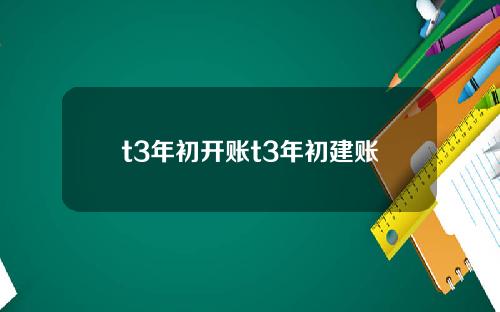 t3年初开账t3年初建账
