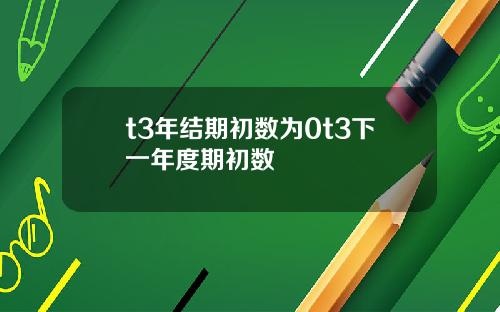 t3年结期初数为0t3下一年度期初数