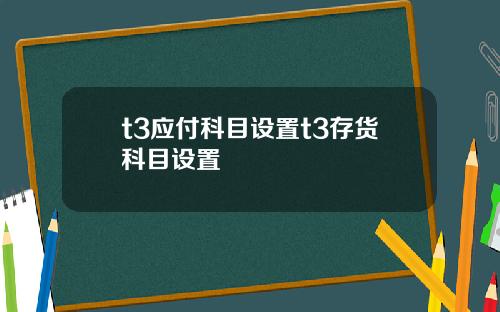 t3应付科目设置t3存货科目设置