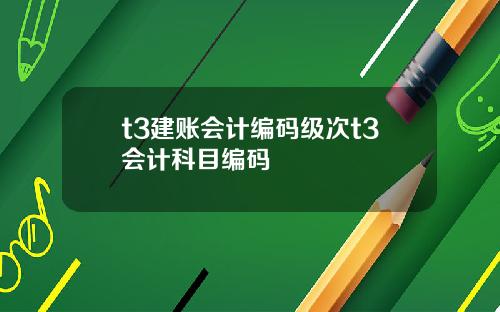 t3建账会计编码级次t3会计科目编码