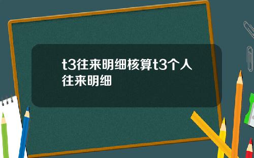 t3往来明细核算t3个人往来明细