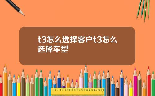 t3怎么选择客户t3怎么选择车型