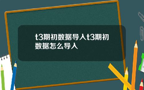 t3期初数据导入t3期初数据怎么导入