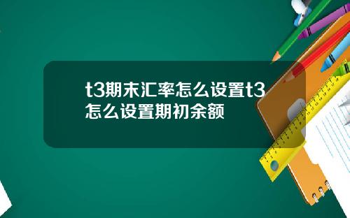 t3期末汇率怎么设置t3怎么设置期初余额