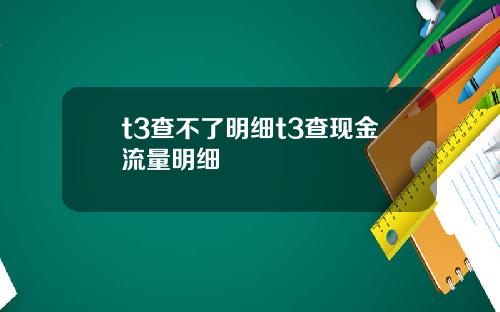 t3查不了明细t3查现金流量明细