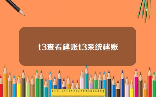 t3查看建账t3系统建账