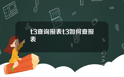 t3查询报表t3如何查报表