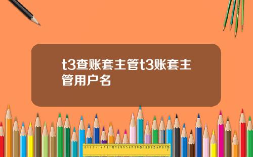 t3查账套主管t3账套主管用户名