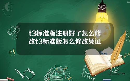 t3标准版注册好了怎么修改t3标准版怎么修改凭证