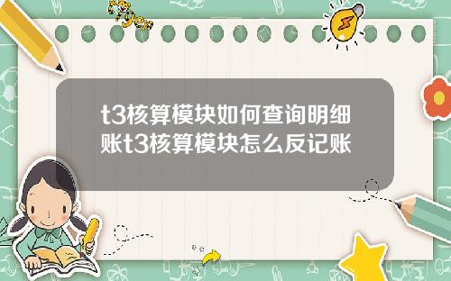t3核算模块如何查询明细账t3核算模块怎么反记账