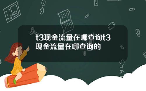 t3现金流量在哪查询t3现金流量在哪查询的