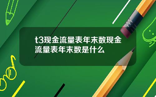 t3现金流量表年末数现金流量表年末数是什么