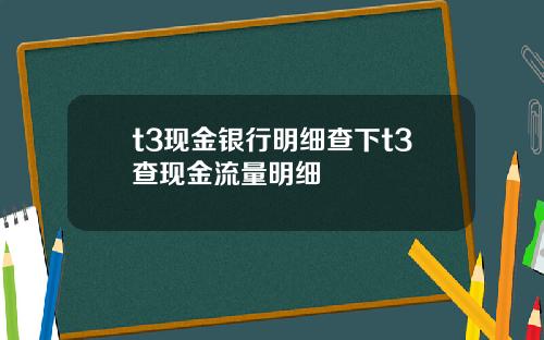 t3现金银行明细查下t3查现金流量明细