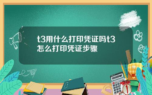 t3用什么打印凭证吗t3怎么打印凭证步骤