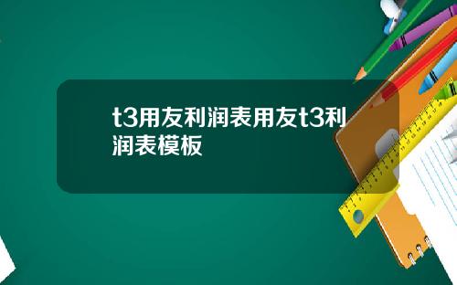 t3用友利润表用友t3利润表模板