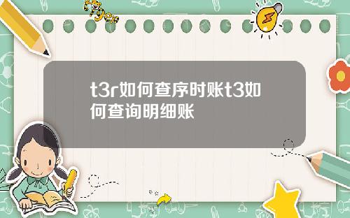 t3r如何查序时账t3如何查询明细账